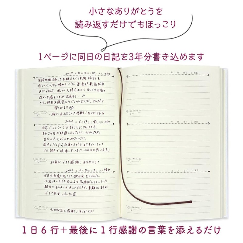 Minna no Stationery 3 Year Consecutive Diary, Cat