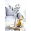Small Glass Bud Vase Transparent Tapered Small Waist Thick Bottom