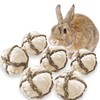 SunGrow Assorted Rabbit & Cat Chew Balls, Teething Activity Toy