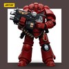 JOYTOY Warhammer 40k Blood Angels Intercessors 1/18 Action Figure, Collect