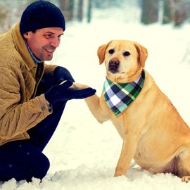 Honoson 6 Pieces Triangle Dog Bandana Dog Scarf Plaid Printing Adjustable Bibs Scarf Washable Square Kerchief Bandana Set for Small to Medium Puppy Cat(16.1 Inch,Elegant Drawstring Style)