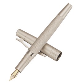 6013 - Pluma estilográfica de metal plateado mate con textura de árbol, iridio extrafino de 0,4 mm con juego de bolígrafos de tinta de escritura