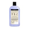 Village Naturals Therapy Chronic Pain & Fatigue Body Wash 20