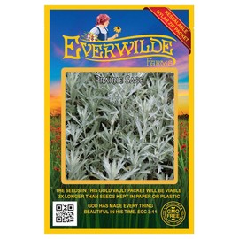 Everwilde Farms - 2000 Prairie Sage Native Wildflower Seeds - Gold Vault Seed Packet
