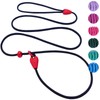 Slip Lead Dog Leash Slip Lead 6 FT Dog Training