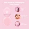 Real Techniques 3 x Mini Miracle Powder Puff Trio, Fix