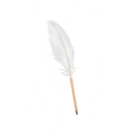 votuyet 1 Pack Retro Feather Ballpoint Pen, Exquisite Signature Pen Refillable Ballpoint Pen, Wedding Gift Pen for Signing Artwork Journal Writing
