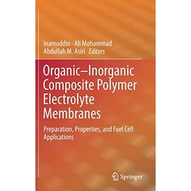 Organic-Inorganic Composite Polymer Electrolyte Membranes: Preparation, Properties, and Fuel Cell Applications