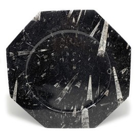 2914 Grams, 2 Plates set, 12" Large Unique Pattern Octagon Shape Black Fossils Orthoceras Plates from Morocco, B8268