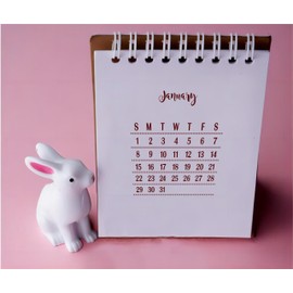 arriettycraft Clear Stamps for Bullet Journal Notebook DIY Craft, Include Calendar, Scheduler, Organizer,Tasks, Ideas, to Do List, Enhance and Simplify Your Planner, Journal