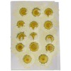 Fukusan Pressed Flower Pack, North Pole FUK-1018