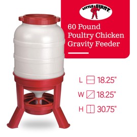Little Giant Plastic Dome Feeder (60 Lb) Heavy Duty Plastic Gravity Fed Poultry Feed Container Tank (Red) (Item No. DOMEFDR60) (2 Pack)