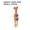 Outward Hound Squawkers Henrietta Latex Rubber Chicken Interactive Dog Toy,