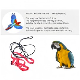 Bird Lead, Bird Harness Lead, Anti-Bite Flight Training Rope, Pet Traction, Outdoor, Fit Budgie, Cockatiel, Mynah, Small Bird (S)