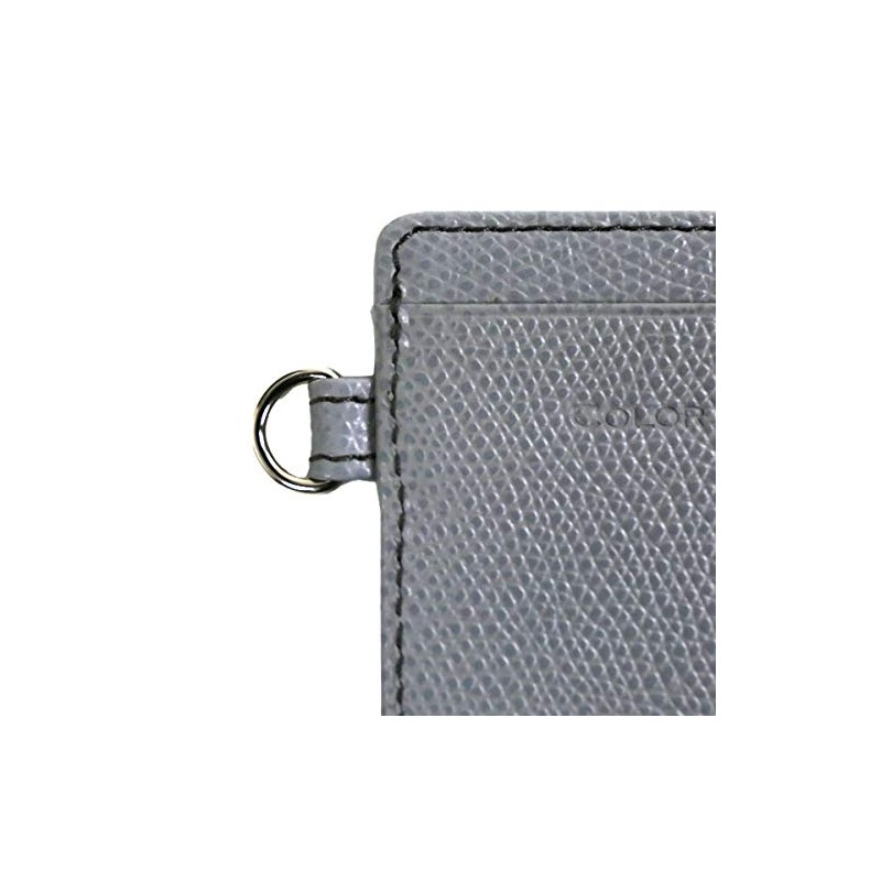 Color Chart Pass Case 06 Light Gray