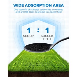 PHILTOP Premium Cabin Air Filter, Replacement for CF10134, Accord, Ridgeline, Civic, Pilot, Odyssey, CR-V, Passport, Crosstour, MDX, RDX, TSX, TL, RL, ILX, RLX, TLX, ZDX, Includes Activated Carbon