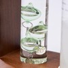 Chatani 333-S272GR Thermometer & Storm Glass, Green, H7.3 x W