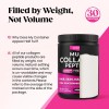 Venture Pal Multi Collagen Protein Powder for Joint Support -