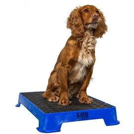 Cato Board - Dog Training Platform (Blue, Rubber Surface)