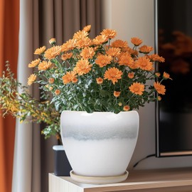 EPFamily Ceramic Pots for Plants - 8 Inch Planter with Drainage Hole and Saucer, Round Flower Pot for Indoor Outdoor Plants, Decorative Planter, House Patio Decor, Housewarming Gifts, White-Grey