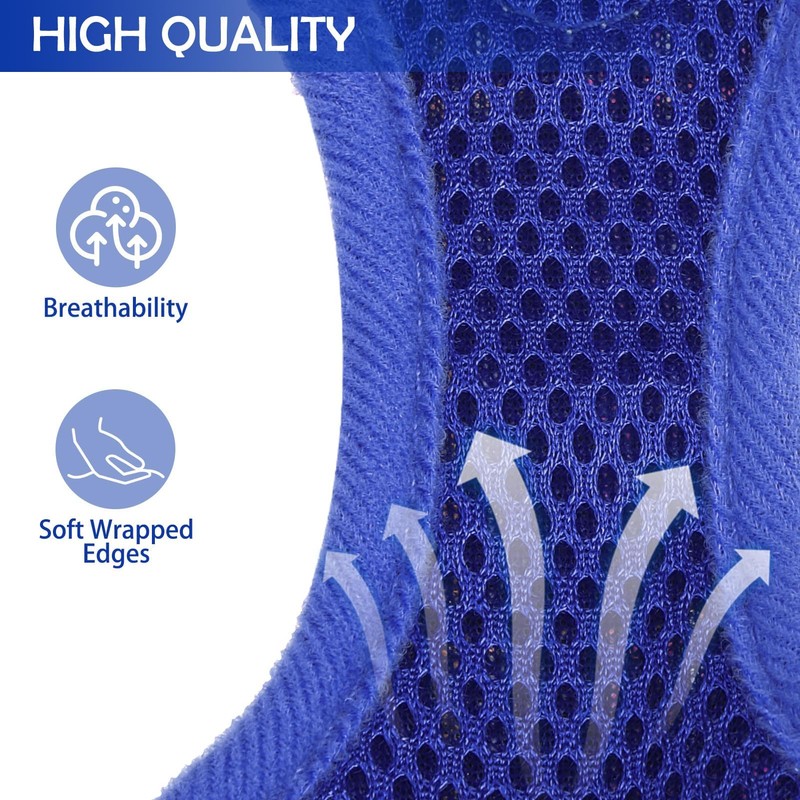 SCENEREAL Puppy Dog Harness with Leash Set for Small Medium