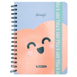 Mr. Wonderful Wonder 2025 Week to View Diary with 8 Stickers and Shapes Notepad