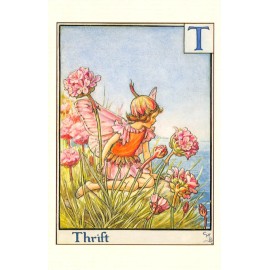 Flower Fairy Postcard: T is for Pink Thrift Flower, Fairy by Sea w/ Pink Flowers