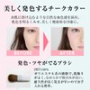 Powder Blush Color 130 Rose with Brush (Cheek, Blusher, Ruddy