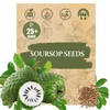 Premium Soursop (Graviola) Seeds – 25+ Non-GMO Heirloom - Fast-Growing,