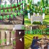 Bunting Banner 9meter String Bunting Nylon Green Polypropylene Banners 20pcs