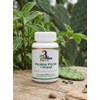 Insulina Planta + Nopal Cápsulas 60