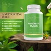 Lily Green Supplements Lily Green Rhodiola Rosea Capsules | 600mg
