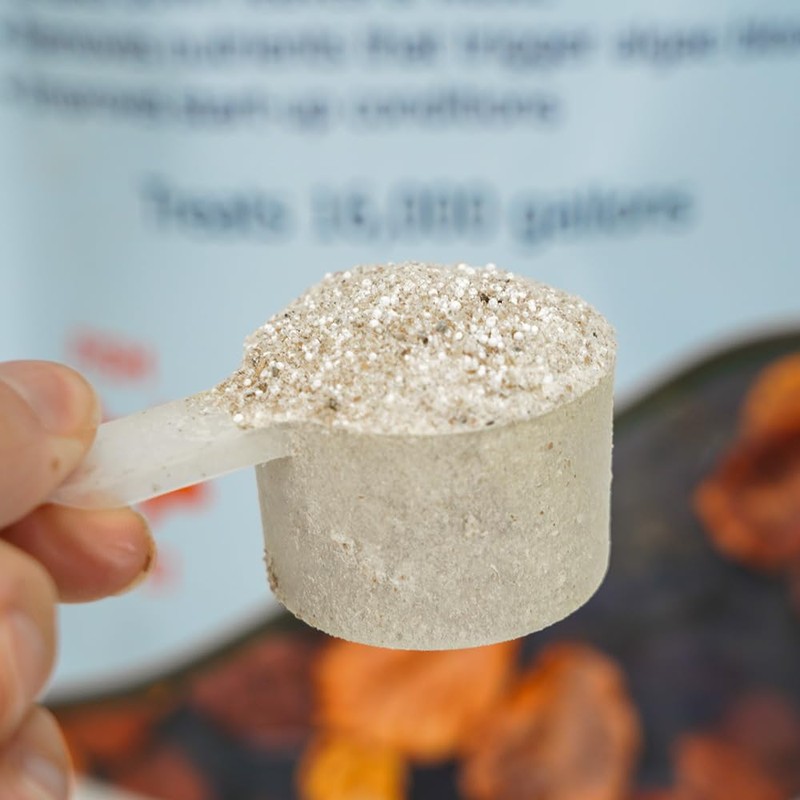WinterKleen Fall & Winter Bacteria for Ponds | Koi Pond