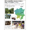 粉末緑茶 オレイン酸3.9倍 お茶 のタネ入り 粉末茶 茶の種子緑茶45g 2本セット