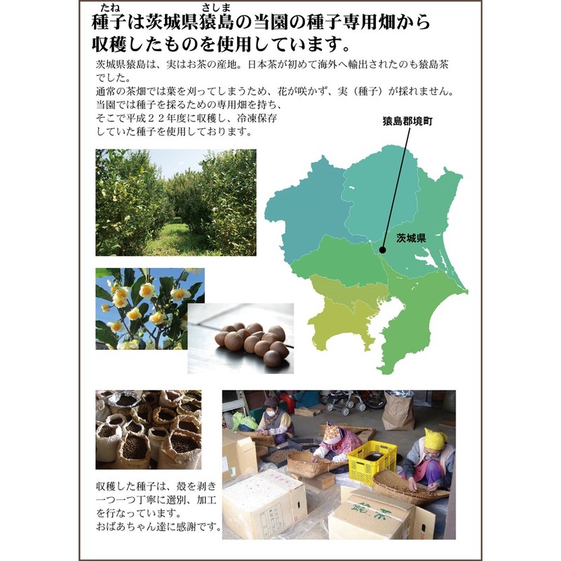 粉末緑茶 オレイン酸3.9倍 お茶 のタネ入り 粉末茶 茶の種子緑茶45g 2本セット