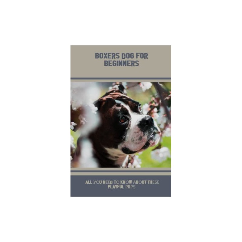 Boxers Dog For Beginners: All Уоu Nееd Tо Knоw Аbоut