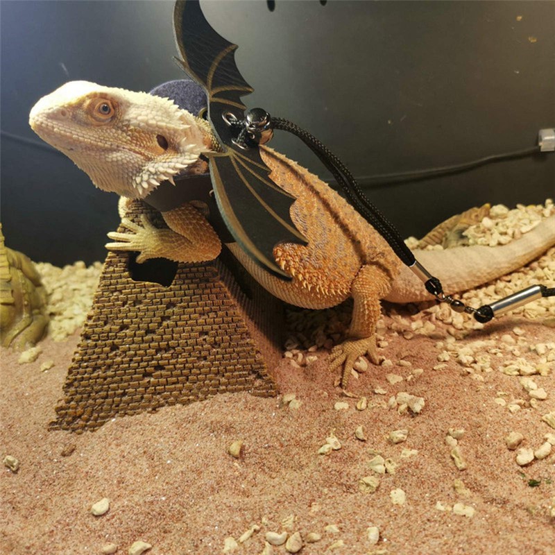 Adjustable Lizard Leash, 3 Sizes Reptile Leather Harness Bearded Dragon