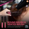 SOL 5pk Hair Brush Set for Women - Paddle, Round