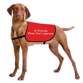 HOLLP Training Dog Jacket Vest in Training Please Don't Approach Dog Jacket Dog Walking Jacket Warning Vest (in Training Don't Approach-Large)