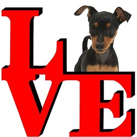 Miniature Pincher Dog Love Park Cute Dog Fridge Refrigerator Car Magnet