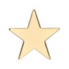 GBJUK Gold Star Pin Lapel Badge with Butterfly Clasp Back