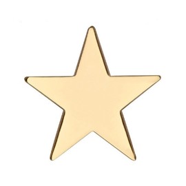 GBJUK Gold Star Pin Lapel Badge with Butterfly Clasp Back