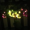 EONANT Solar Grape String Light Outdoor Waterproof 80 LED Grape