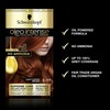 Schwarzkopf Oleo Intense Permanent Hair Dye, Light copper brown 5-77,