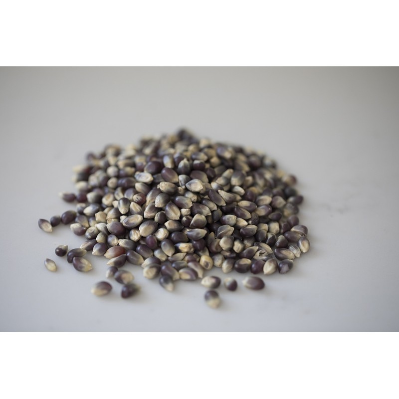 Amish Country Popcorn | 25 lb Bag | Blue Popcorn