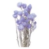 Earth Farms Dry Flower minisiruba-de-zi- Insert (G) Light Purple do32001