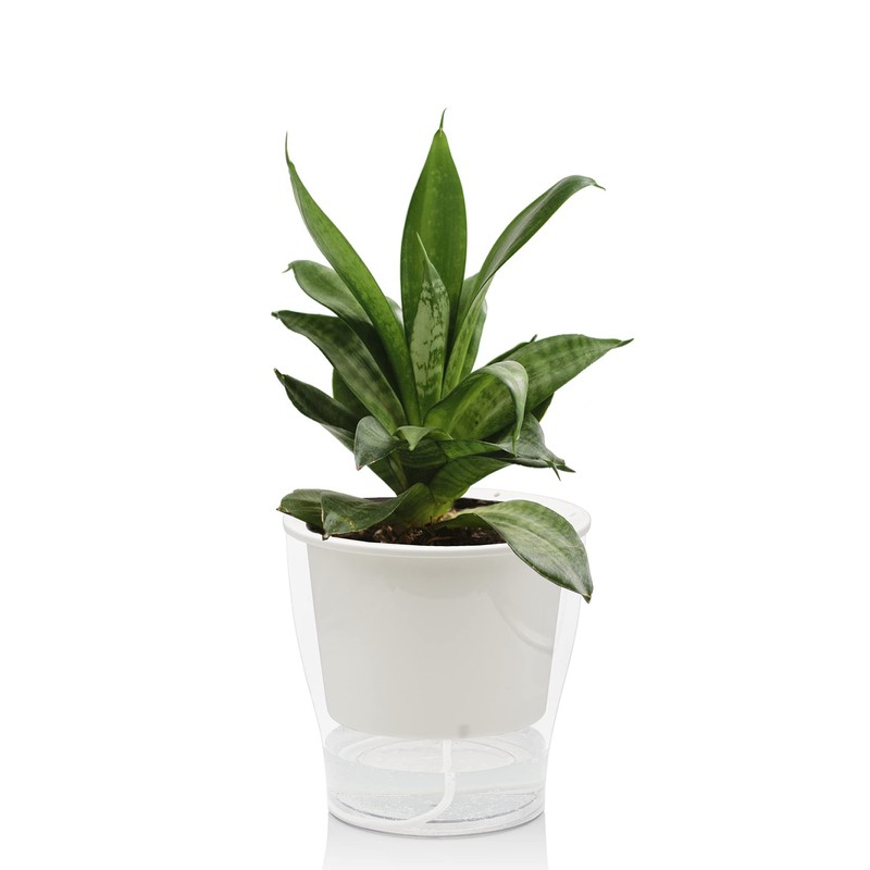 Oresteluchetta Self-watering pot for outdoor/indoor ASON MEDIUM