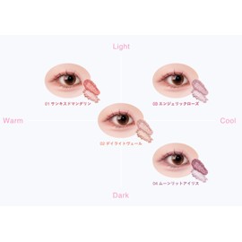 tilnus Pearl Core Eye Palette 01 Sanked Mandarin, 0.2 oz (5.8 g)