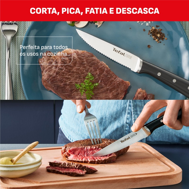 Tefal Ice Force Stainless Steel Steak Set of 411 cm,
