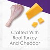 Fancy Feast PURINA Delights Grilled Turkey and Cheddar (Pack of